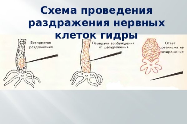 Кракен макет плейс