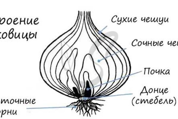 Кракен 2krnk cc